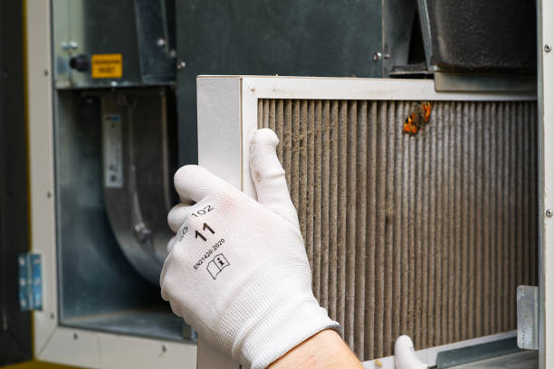 Best Home Air Vent Cleaning  in Crystal City, TX