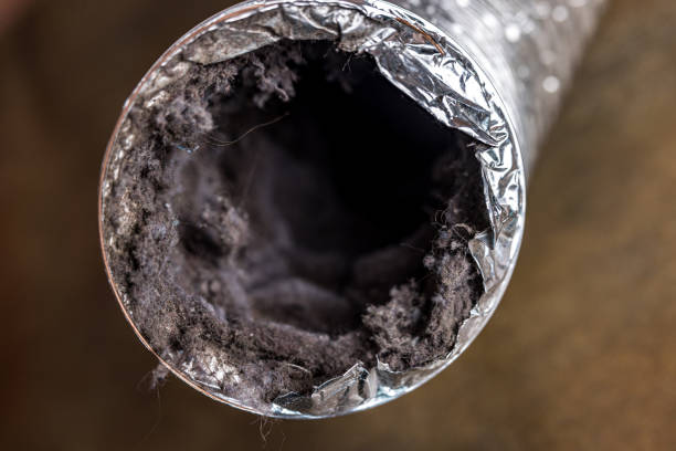 Best Air Duct Cleaning Near Me  in Crystal City, TX